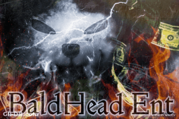 Bald Head Entertainment On Fire Logo GIF