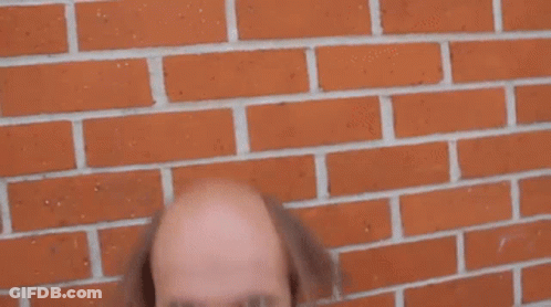Bald Man Eating French Fries Against Brick Wall GIF