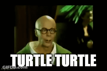 Bald Man Glasses Green Shirt Saying Turtle Turtle GIF
