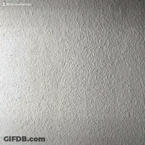 Bald Man Head Among Us GIF