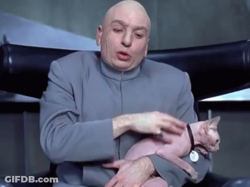 Bald Man Holding Cat With Tag GIF