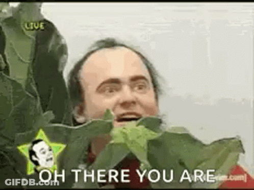 Bald Man Holding Leaf In Mouth GIF