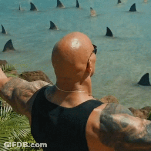 Bald Man In Front Of Sharks GIF