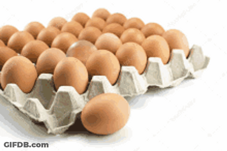 Bald Man Mixed With Egg GIF
