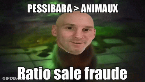 Bald Man Pessibara Animaux Ratio Sale Fraude GIF