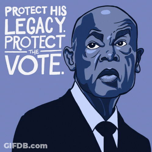 Bald Man Protect His Legacy Protect The Vote GIF
