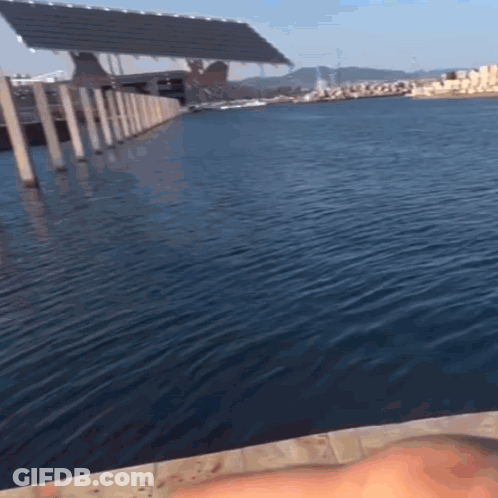 Bald Man Sitting On Airplane In Plaid Sweater GIF