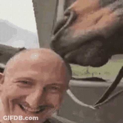 Bald Man Smiling While Horse Licks Head GIF