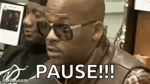 Bald Man Wearing Sunglasses And Plaid Shirt Saying Pause GIF