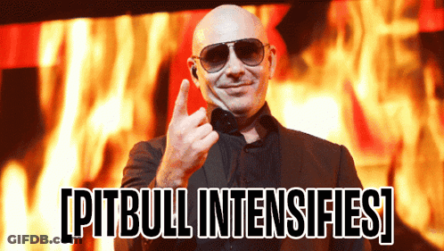 Bald Man Wearing Sunglasses Giving Middle Finger Pitbull Intensifies GIF