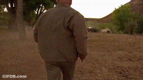 Bald Man With Beard And Glasses In Field GIF