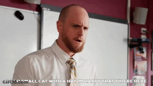 Bald Man With Beard And Tie Says Hello Small Cat With Hat GIF
