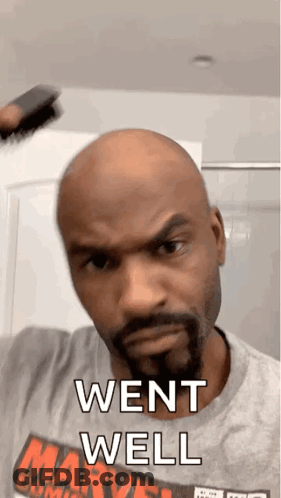 Bald Man With Beard Holding Brush Saying Went Well GIF