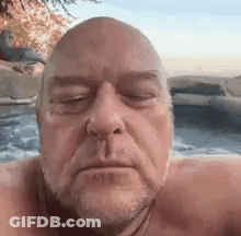 Bald Man With Beard Taking Selfie In Hot Tub GIF