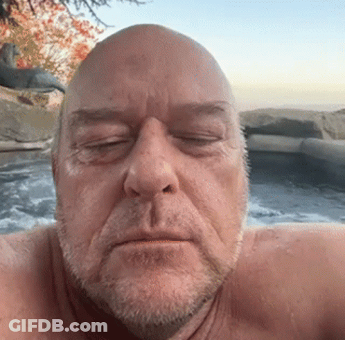 Bald Man With Beard Taking Selfie In Hot Tub GIF