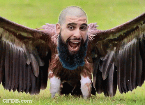 Bald Man With Beard Transforming Into Bird GIF