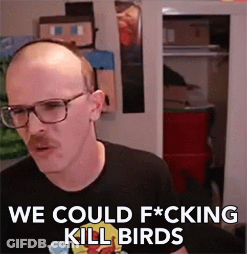 Bald Man With Glasses And Mustache Talking About Killing Birds GIF