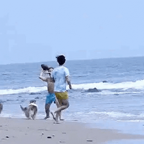 Ball Game On Funny Beach GIF