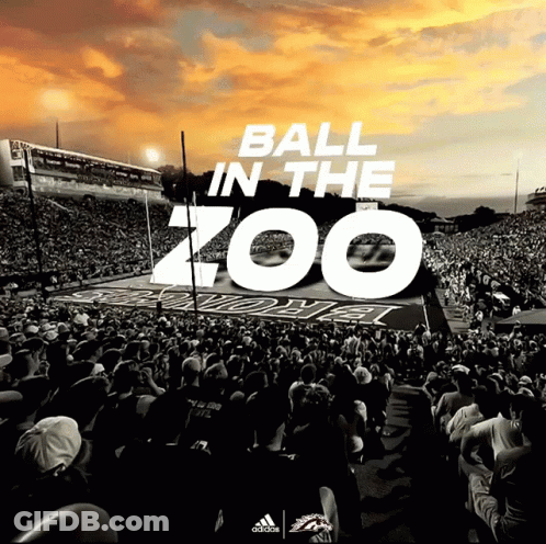 Ball In The Zoo Football Poster GIF