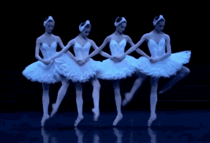 Ballet Ballerina Dancing Swan Lake GIF