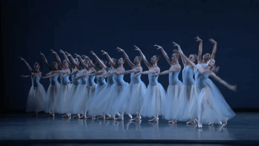 Ballet Ballerinas Succession Dance GIF