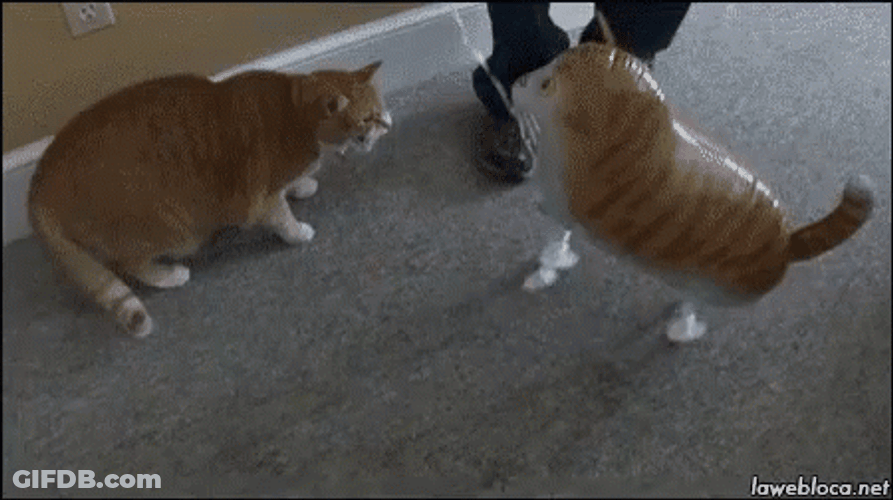 Balloon Deflating GIF