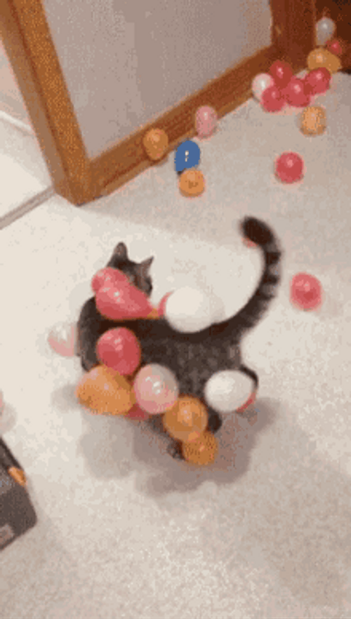 Balloon Static Catwalk GIF