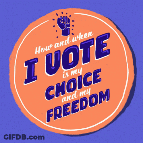 Ballot Box Saying Vote Early In Maine GIF