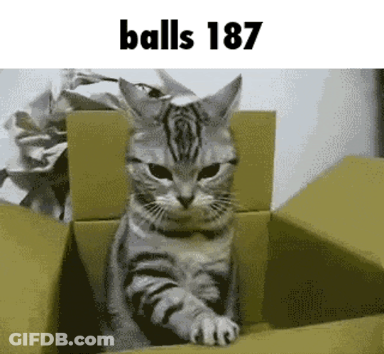 Balls 187 GIF