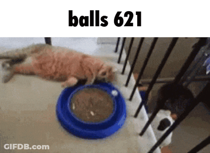 Balls 621 GIF