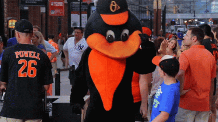 Baltimore Orioles Mascot Waves GIF