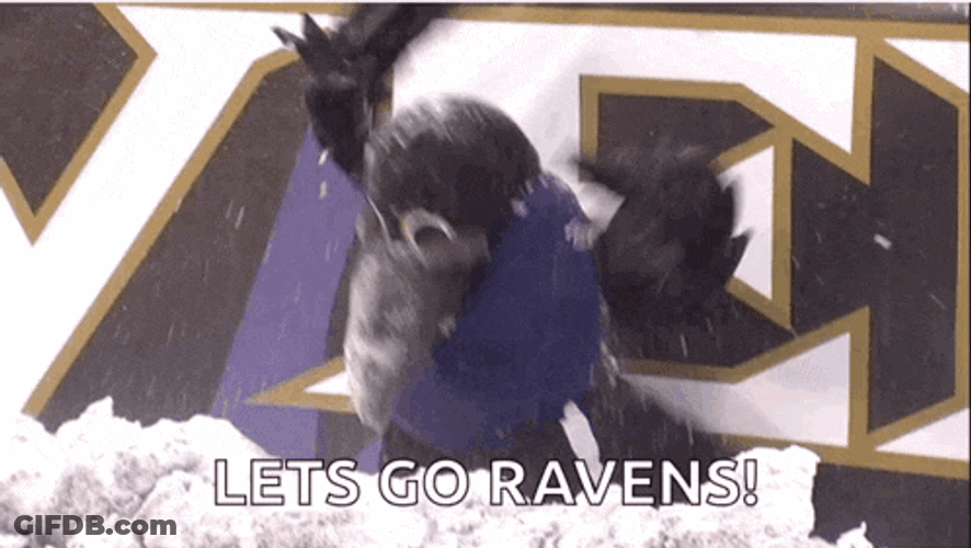 Baltimore Ravens Ravens GIF