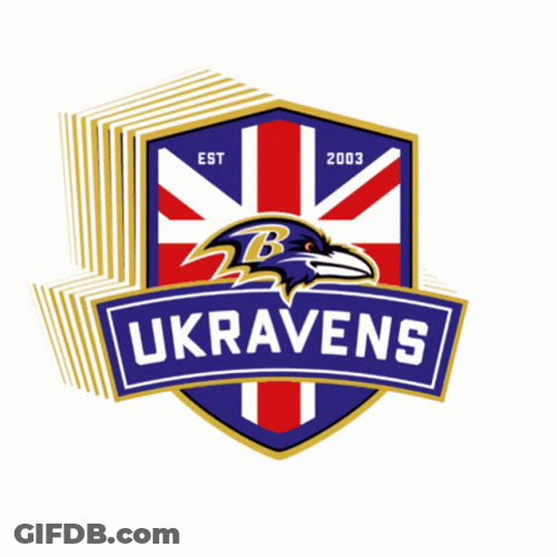 Baltimore Ravens Rooting For Rg3 GIF