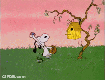 Bam GIF