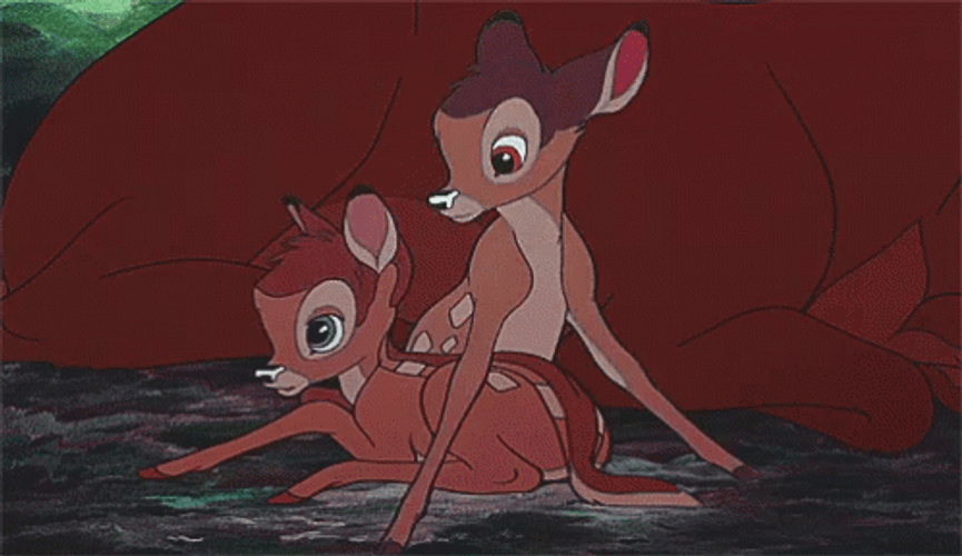 Bambi And Belle Play Bite GIF