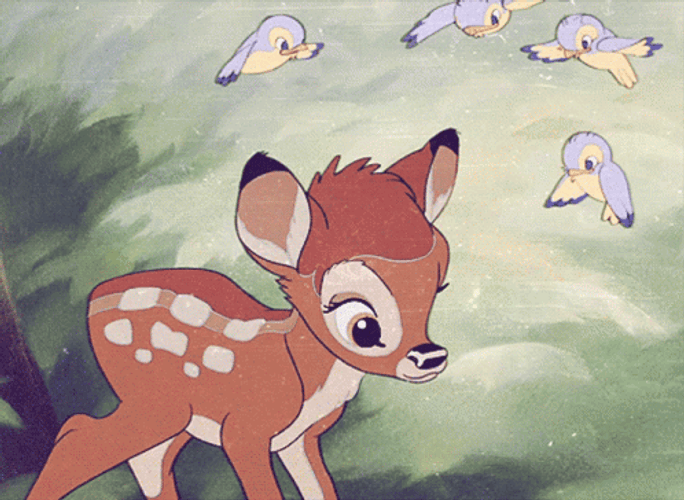 Bambi Annoyed At Birds GIF