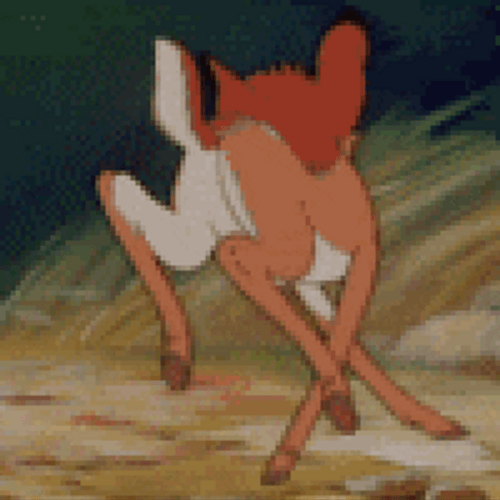 Bambi Chasing Tail GIF