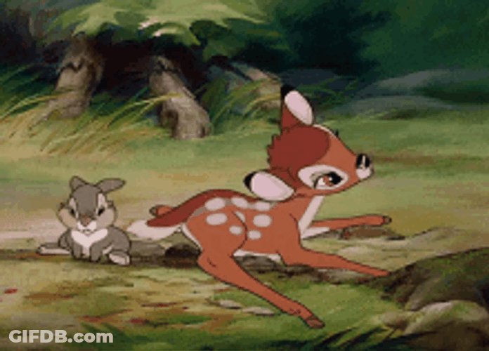 Bambi Cute Thumper Rabbit Bonding GIF
