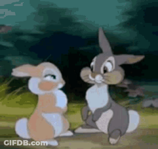 Bambi Film Thumber Miss Bunny Cartoon Love GIF