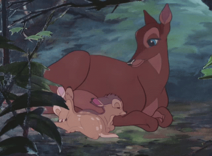Bambi's Family GIF