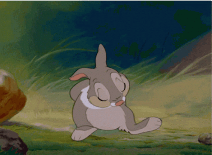 Bambi's Thumper Shy Reaction GIF