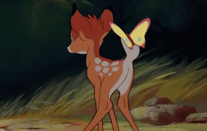 Bambi Seeing Butterfly GIF