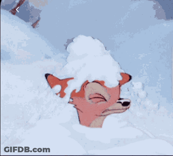 Bambi Shakes Off Snow GIF