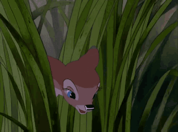 Bambi Shocked GIF