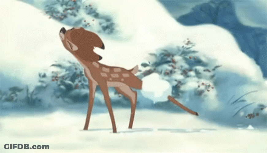 Bambi Stuck In Snow GIF