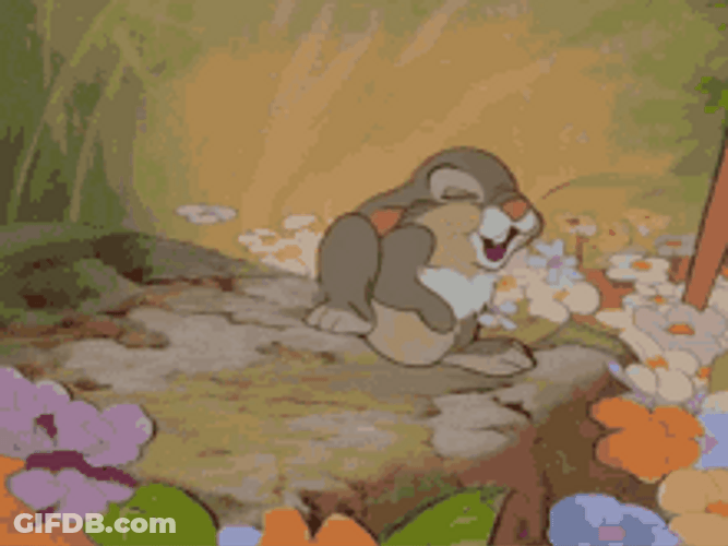 Bambi Thumper Cute Rabbit Laughing GIF
