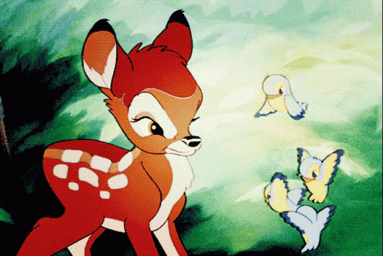 Bambi Yelling At Birds GIF
