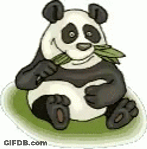 Bamboo Eating Panda GIF