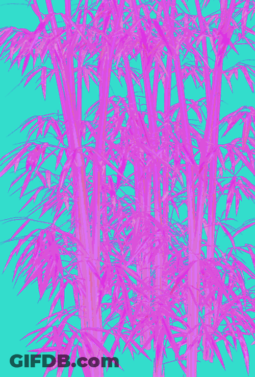 Bamboo Neon GIF