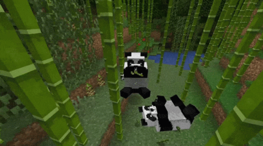 Bamboo Panda Minecraft GIF